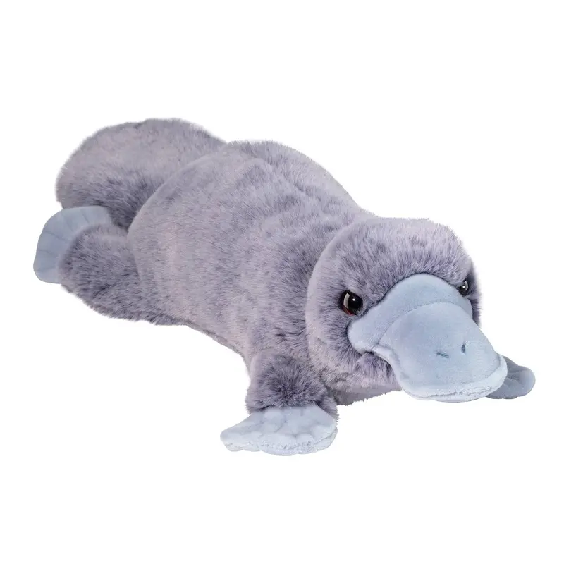 Allie Platypus Soft Plush Animal 1