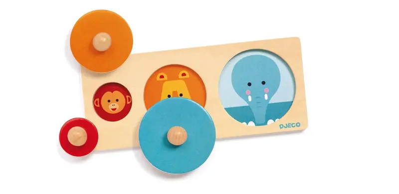 Bigabasic Circular Shape Sorting Puzzle 1