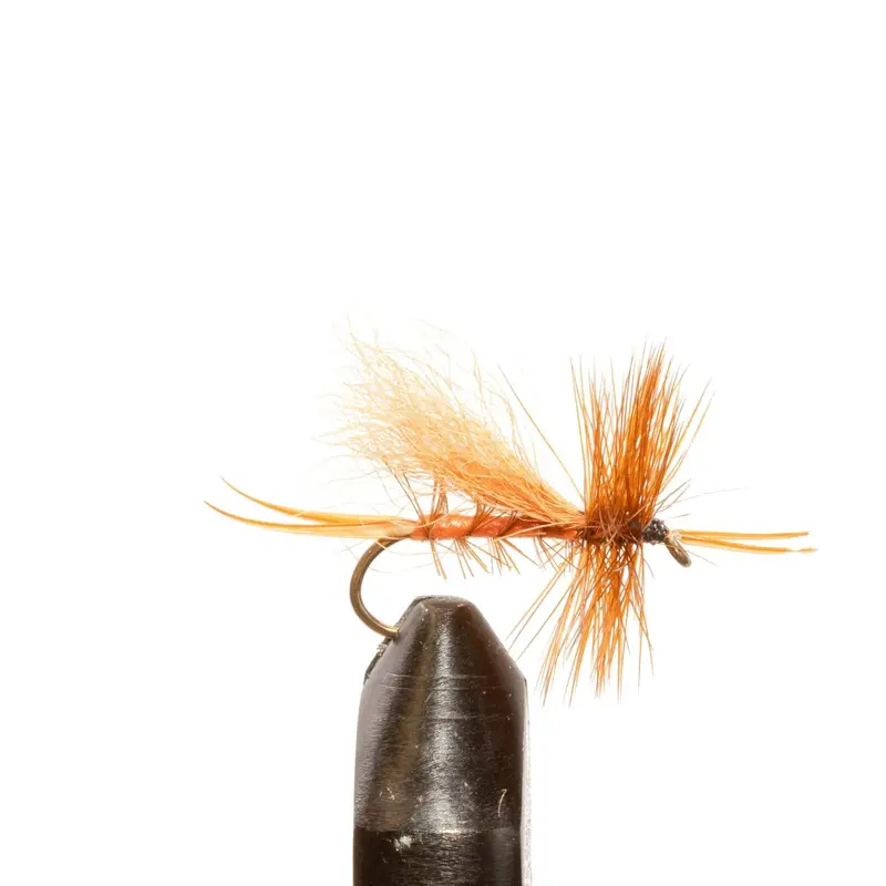 Bird'S Stone Salmon Streamer 1