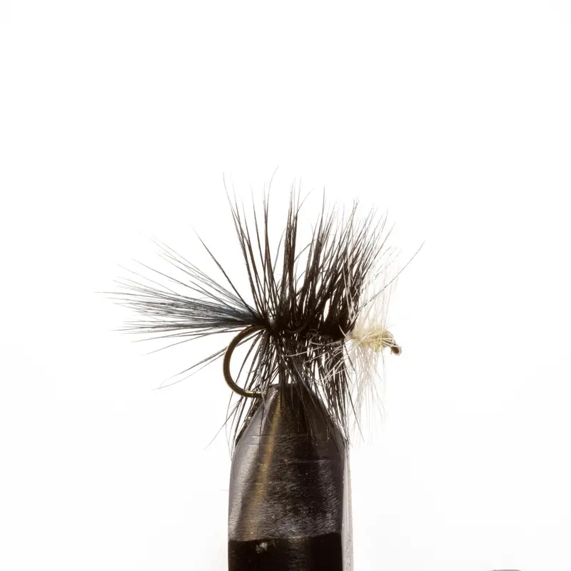 Black Bivisible Dry Fly – High-Visibility Trout Pattern 1