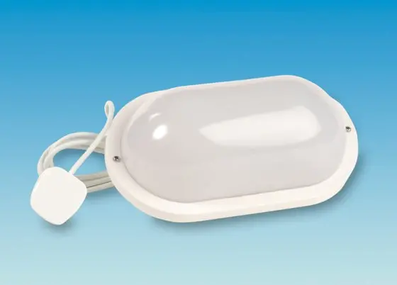 Bulkhead-Mounted Awning Light – 240V Ac Powered 1