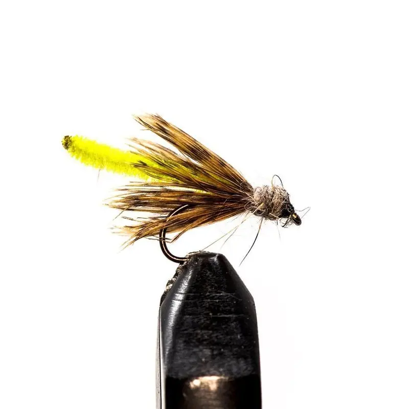 Chartreuse Viagra Caddis Fly 1