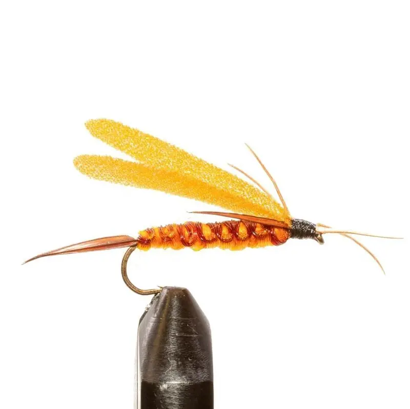 Dark Salmon Streamer Fly 1