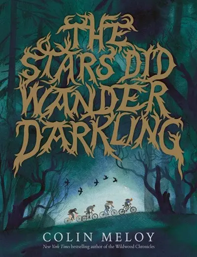 Darkling Stars: A Poetic Journey Through Night And Wonder 1
