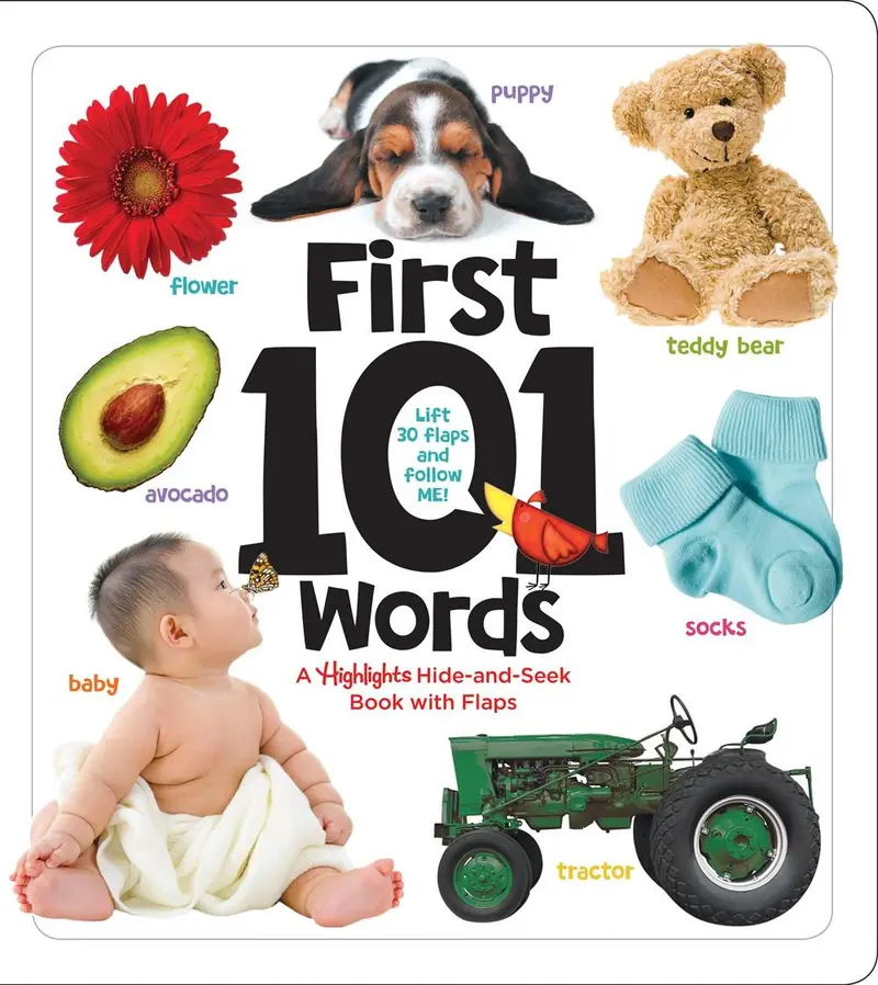 First 101 Words – Picture Vocabulary Book For Toddlers 1