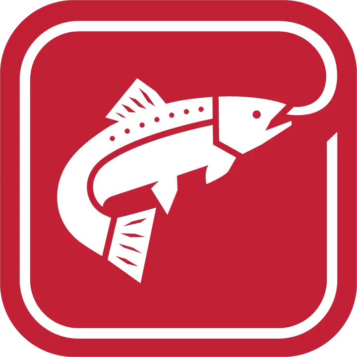 Hassle-Free Returns: Unlimited Store Credit, Exchanges & Shipment Protection 1