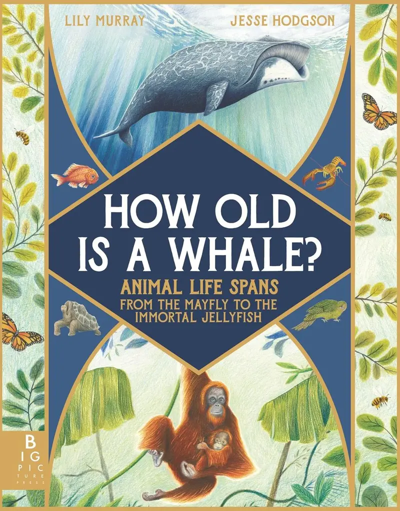 How Old Is A Whale? Animal Lifespans From Mayfly To Immortal Jellyfish 1