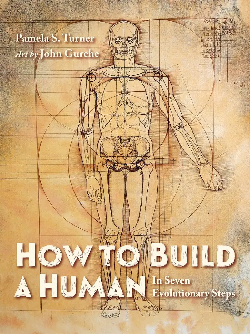 How To Build A Human: Seven Evolutionary Milestones 1