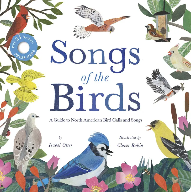Melodic Birdsong Discovery Book 1