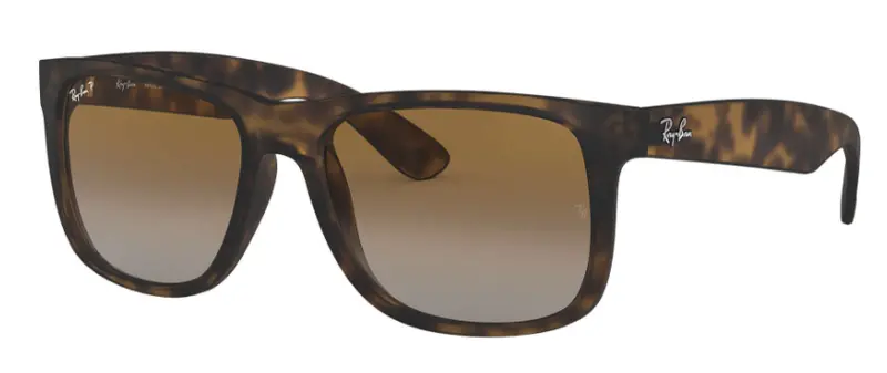 Ray-Ban Justin Round Frame Sunglasses 1