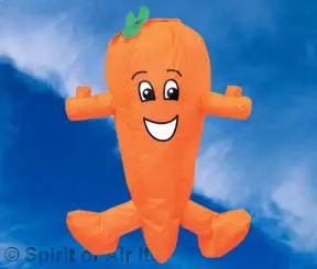 Spirit Of Air Carrot-Themed Fun Windsock For Gardens 1