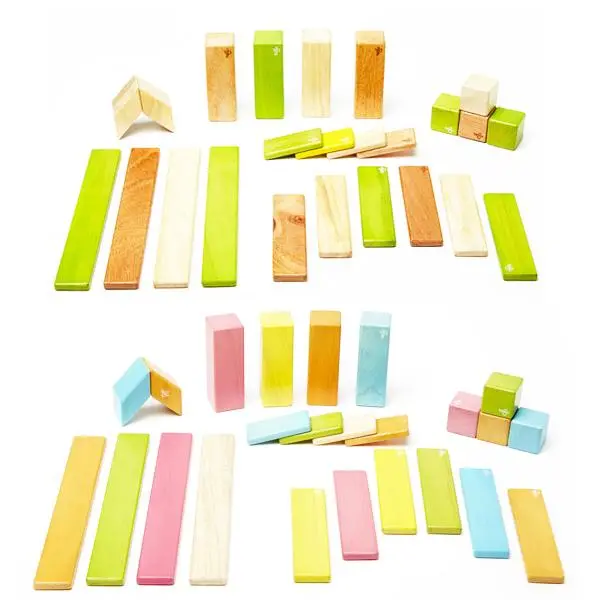 Tegu Tints Magnetic Toy Set – 24-Piece Play Bundle 1