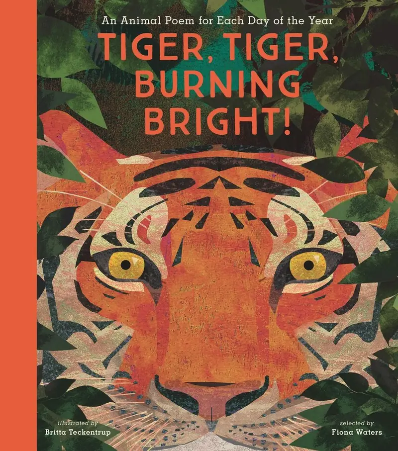 Tiger Tiger: A Poetic Illumination Of Wild Wonder 1