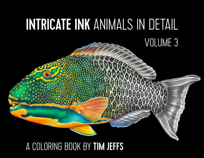Tim Jeffs Intricate Ink Volume 3: Detailed Coloring Book 1